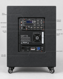 Singpack Column Speaker