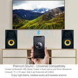 Singpack Studio MK2 Bookshelf Karaoke Speaker