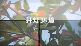 120inch Fixed Frame ALR Screen